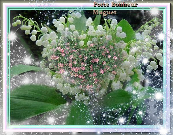 Brin de muguet porte bonheur - Centerblog
